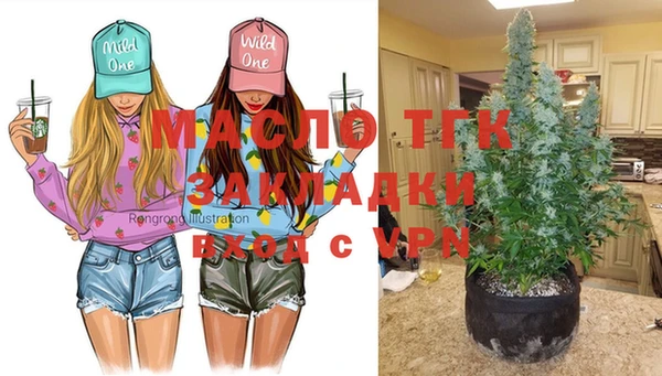 винт Лабытнанги