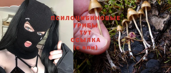 MDMA Ладушкин