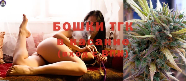 mix Менделеевск