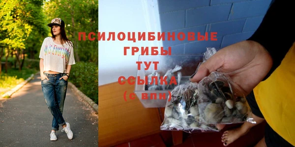 винт Лабытнанги