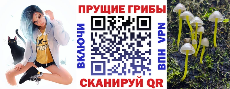 Псилоцибиновые грибы Psilocybe  MEGA ONION  Туапсе  цена  